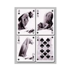 Jeu Des Chimères -Variantes Boutique Jeu des Chimeres 5