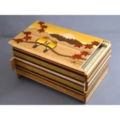 Boite à Secret 5 Sun 10 Steps Bird-Fuji