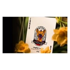 Cartes à Jouer Animal Kingdom 11 Cartes à Jouer Animal Kingdom -Variantes Boutique cartes a jouer animal kingdom 3