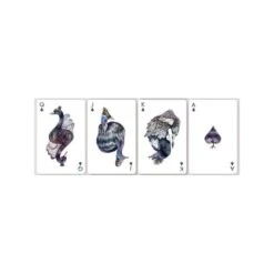 Cartes à Jouer Bicycle Aves 10 Cartes à Jouer Bicycle Aves -Variantes Boutique cartes a jouer bicycle aves 2