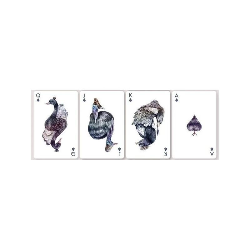 Cartes à Jouer Bicycle Aves 5 Cartes à Jouer Bicycle Aves – Image 3