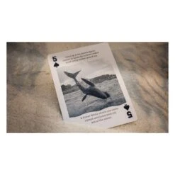 Cartes à Jouer Bicycle Sharks -Variantes Boutique cartes a jouer bicycle sharks 4