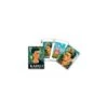 Cartes à Jouer Frida Kahlo 2 Cartes à Jouer Frida Kahlo -Variantes Boutique cartes a jouer frida kahlo
