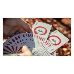 Cartes à Jouer Hinode Collector -Variantes Boutique cartes a jouer hinode collector 2