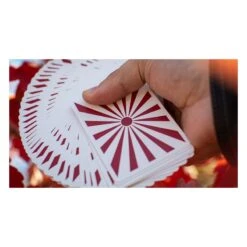 Cartes à Jouer Hinode Collector -Variantes Boutique cartes a jouer hinode collector 3