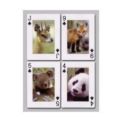 Cartes à Jouer Animaux -Variantes Boutique cartes animaux 1