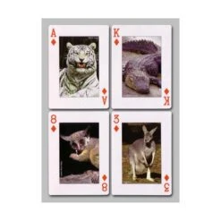 Cartes à Jouer Animaux -Variantes Boutique cartes animaux 2