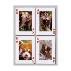 Cartes à Jouer Animaux -Variantes Boutique cartes animaux 3