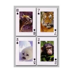 Cartes à Jouer Animaux -Variantes Boutique cartes animaux 4