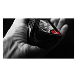 Cartes Bicycle Black Tiger Deck -Variantes Boutique cartes bicycle red tiger 1