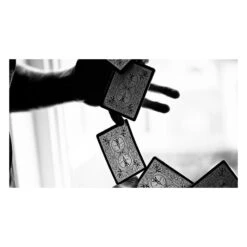 Cartes Bicycle Black Tiger Deck -Variantes Boutique cartes bicycle red tiger 3