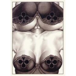 Cartes à Jouer Erost 15 Cartes à Jouer Erost -Variantes Boutique cj erost 5