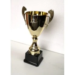 Coupe D'échecs 26 Cm