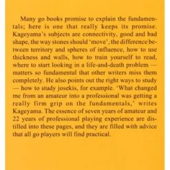 KAGEYAMA - Lessons In The Fundamentals Of Go