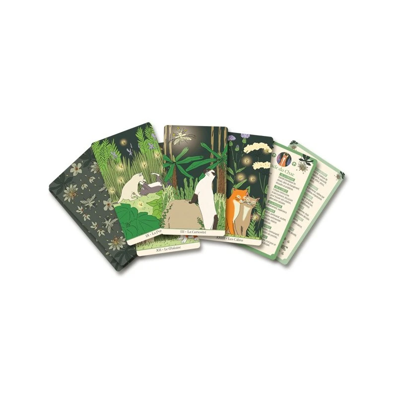 Les Oracles De La Sorcière 4 Les Oracles De La Sorcière – Image 2