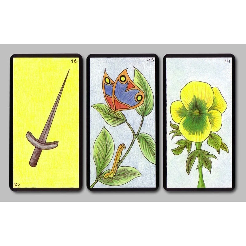 Oracle Gé 7 Oracle Gé – Image 5