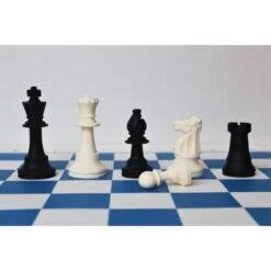 Pièces D'EchecsSilicone - Taille 5