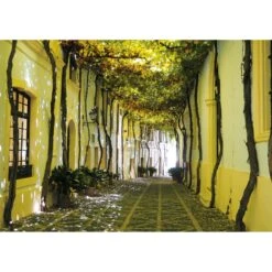 Puzzle 1000 Pièces - Ruelle Andalouse