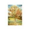 Puzzle 1000 Pièces - Arbre Pêcher En Fleur, Van Gogh 2 Puzzle 1000 Pièces - Arbre Pêcher En Fleur, Van Gogh -Variantes Boutique puzzle 1000 pieces arbre pecher en fleur van gogh