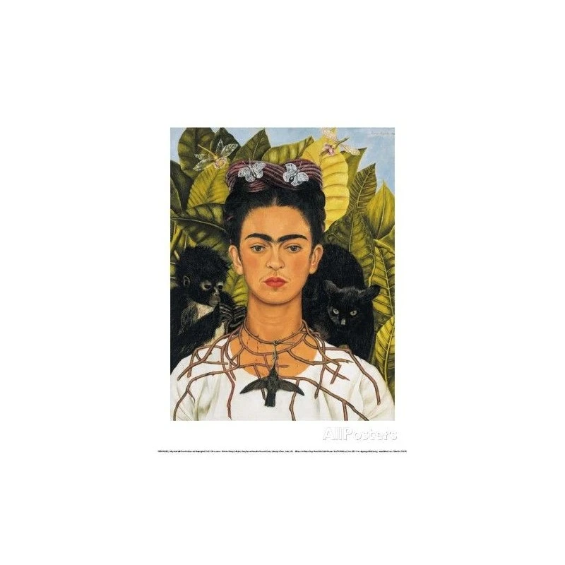 Puzzle 1000 Pièces - Chats Noirs, Frida Kahlo 3 Puzzle 1000 Pièces - Chats Noirs, Frida Kahlo