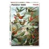 Puzzle 1000 Pièces - Colibris 2 Puzzle 1000 Pièces - Colibris -Variantes Boutique puzzle 1000 pieces colibris