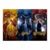 Puzzle 1000 Pièces Harry Potter - The Chamber Of Secrets 1 Puzzle 1000 Pièces Harry Potter - The Chamber Of Secrets -Variantes Boutique puzzle 1000 pieces harry potter the chamber of secrets