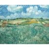 Puzzle 1000 Pièces - La Plaine Pres D'Auvers Van Gogh