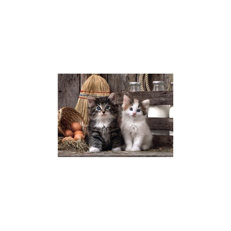 Puzzle 1000 Pièces - Lovely Kittens 4 Puzzle 1000 Pièces - Lovely Kittens – Image 2