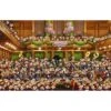 Puzzle 1000 Pièces - Orchestre, Ruyer 2 Puzzle 1000 Pièces - Orchestre, Ruyer -Variantes Boutique puzzle 1000 pieces orchestre ruyer