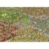 Puzzle 1000 Pièces - Où Est Charlie? - Charlie Au Jardin 2 Puzzle 1000 Pièces - Où Est Charlie? - Charlie Au Jardin -Variantes Boutique puzzle 1000 pieces ou est charlie charlie au jardin