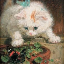 Puzzle 30 Pièces - ChatRoner-Knip