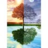 Puzzle 500 Pièces - Arbre Des 4 Saisons -Variantes Boutique puzzle 500 pieces arbre des 4 saisons