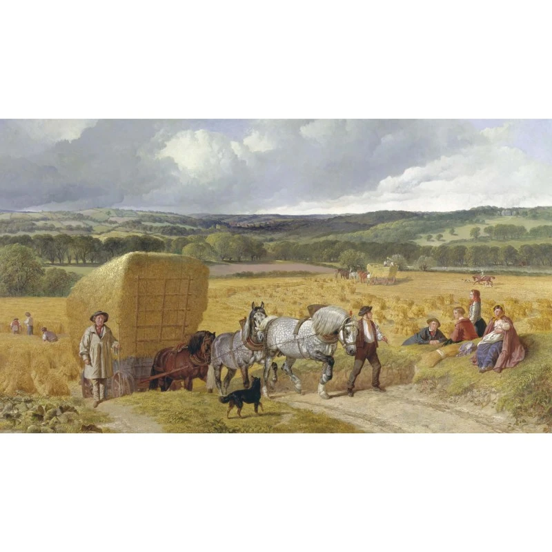 Puzzle 500 Pièces - La Recolte Herring 3 Puzzle 500 Pièces - La Recolte Herring