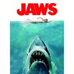 Puzzle 500 Pièces - Les Dents De La Mer