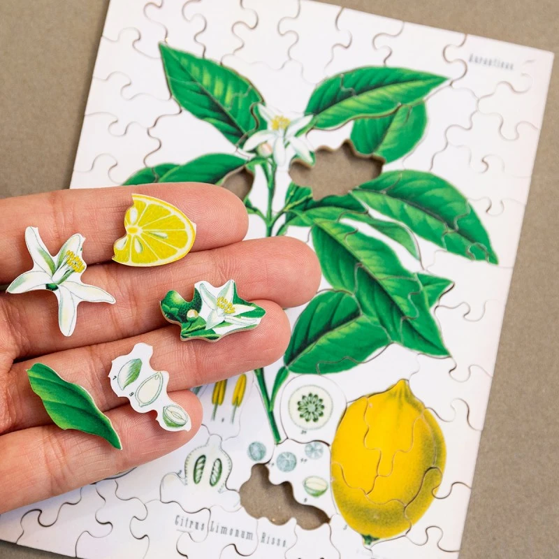 Puzzle 80 Pièces - Citron Kohler 5 Puzzle 80 Pièces - Citron Kohler – Image 3