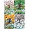Puzzle 2000 Pièces - Quatre Saisons, Blachon 2 Puzzle 2000 Pièces - Quatre Saisons, Blachon -Variantes Boutique quatre saisons blachon puzzle 2000 pieces