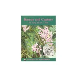 Rescue And Capture, Yang Yilun