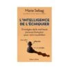 Sebag - L'Intelligence De L'Echiquier -Variantes Boutique sebag intelligence echiquier