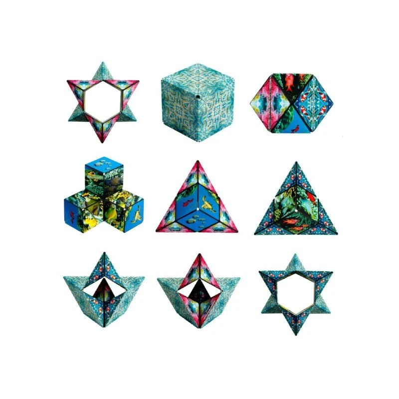 Shashibo Océan 4 Shashibo Océan – Image 2