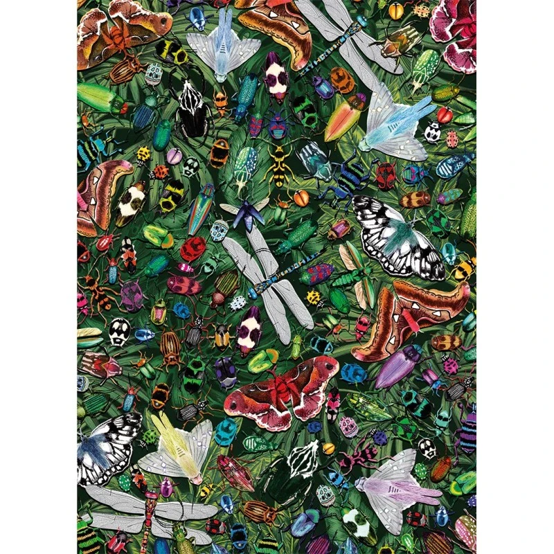 Puzzle 1000 Pièces - Winged Wonders 3 Puzzle 1000 Pièces - Winged Wonders