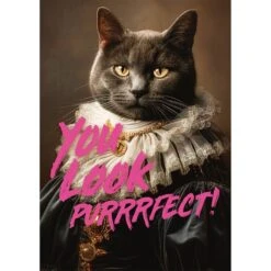 Puzzle 1000 Pièces - You Look Purrrfect ! 5 Puzzle 1000 Pièces - You Look Purrrfect ! -Variantes Boutique you look purrrfect 1